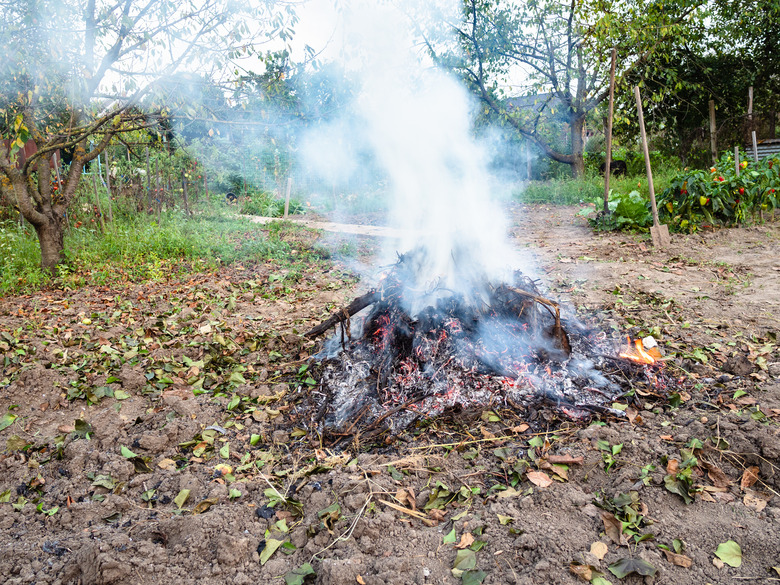 Burning garden waste.