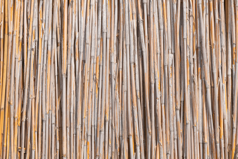 Reeds Wall Texture Background