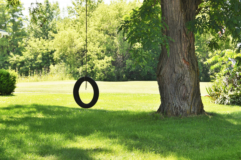 Tire swing on shade tree.