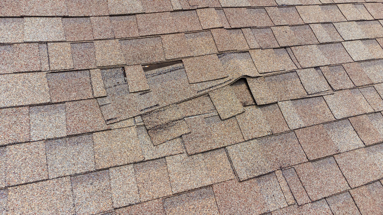 Damaged roof shingles.