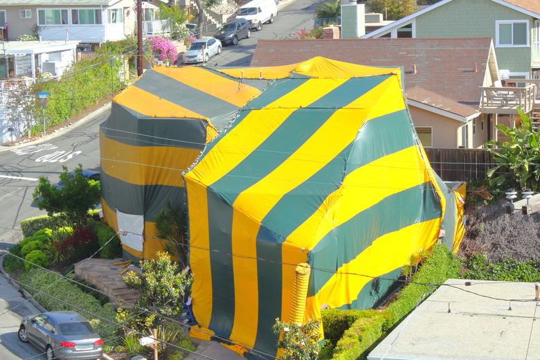 Neighborhood house being fumigated.