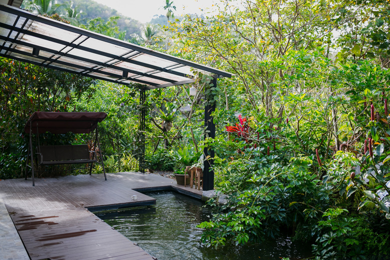 Pond in the garden.