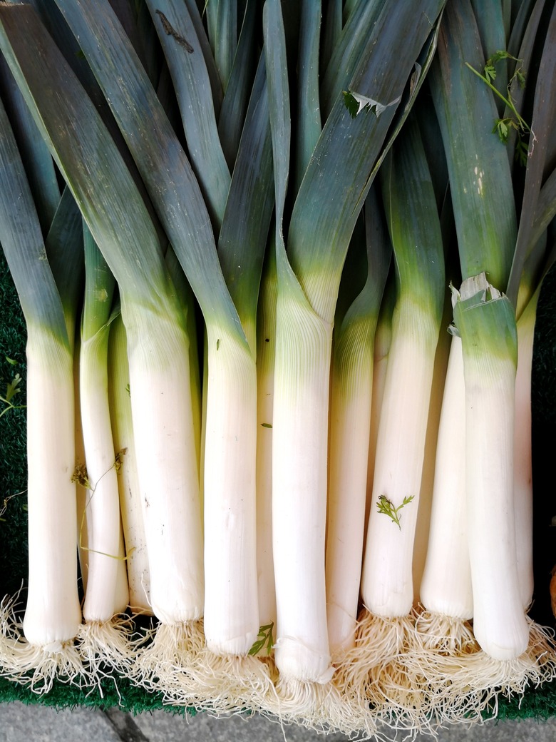 Close-Up Of Vegetables