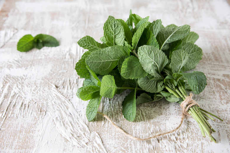 Mint. Bunch of Fresh green organic mint leaf on wooden table closeup. Selective focus.