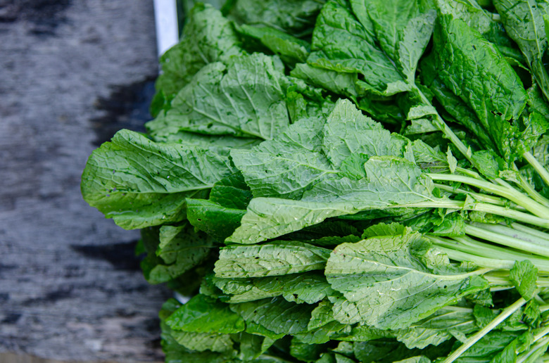 Close up Green leaf mustard vegetable in nature.