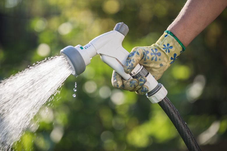 Watering a garden with a hose.