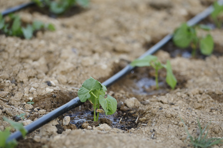 How to Install a Drip Irrigation System | Hunker