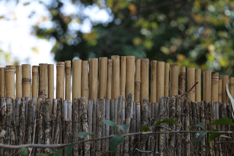 Bamboo Reed Fencing