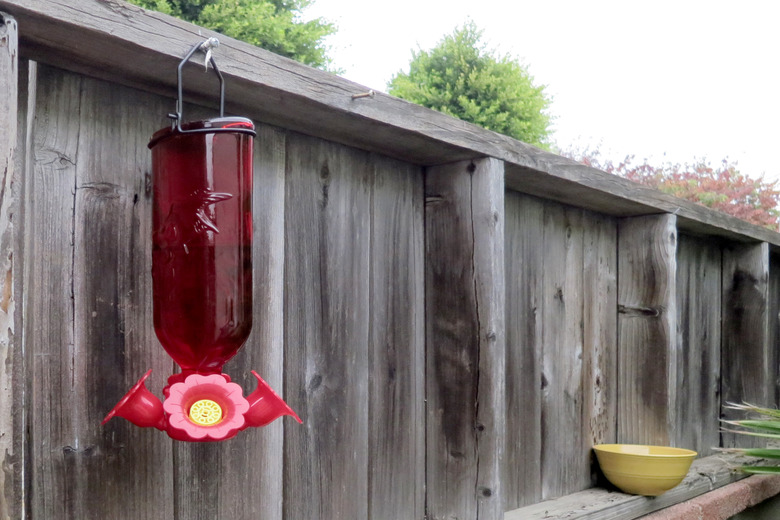 Hummingbird feeder and yellow decoy bowl