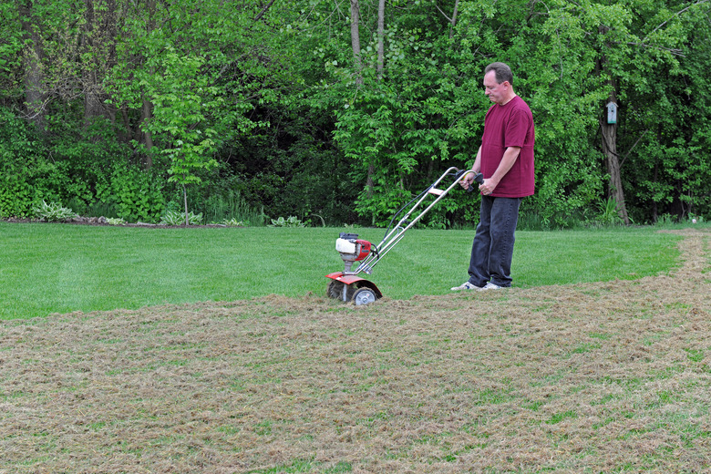 Lawn care - dethatching grass.