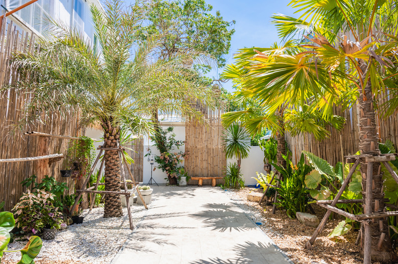 Beautiful backyard landscape design, view of colorful trees and decorative shrubs and rocks.