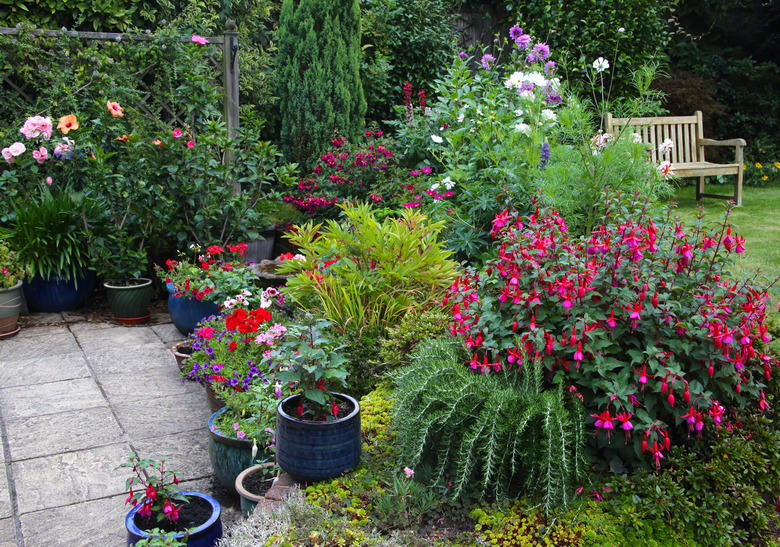 Bright flowers in English garden with patio pots & flowerbeds.