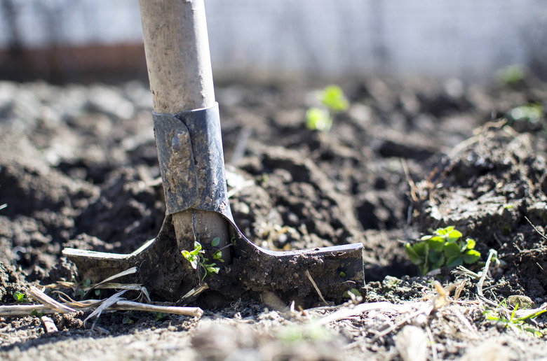 Breaking ground for a pool pad.