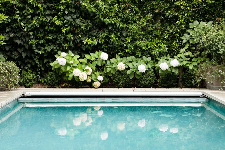 outdoor swimming pool in garden