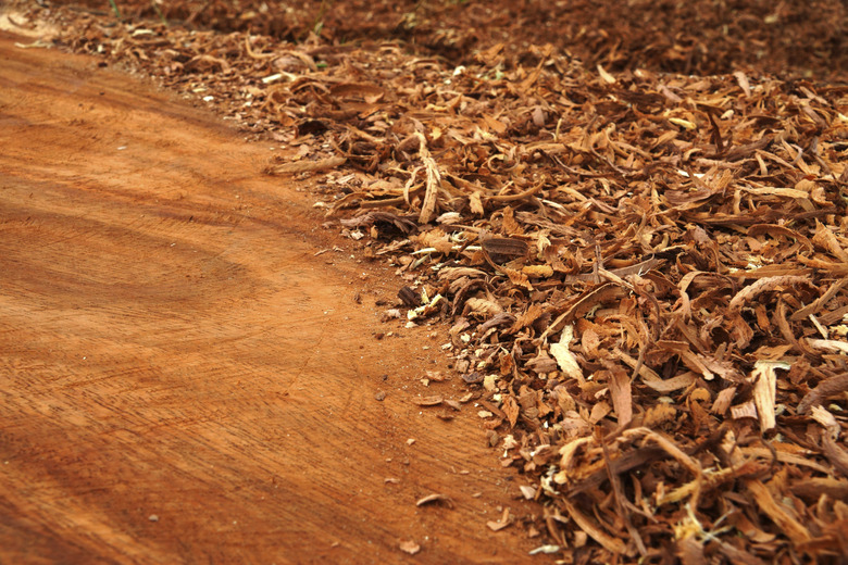 Wooden sawdust backgrounds.