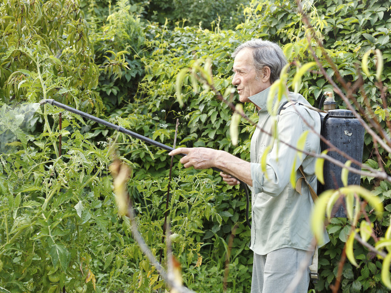 man spraying of pesticide on country garden