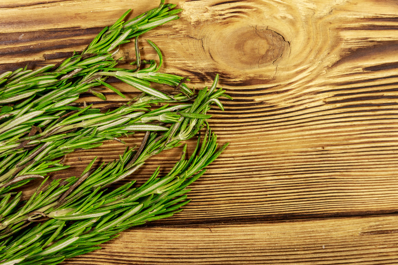 Fresh rosemary herbs on a wooden table. Top view