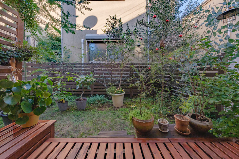 Garden with wooden deck.