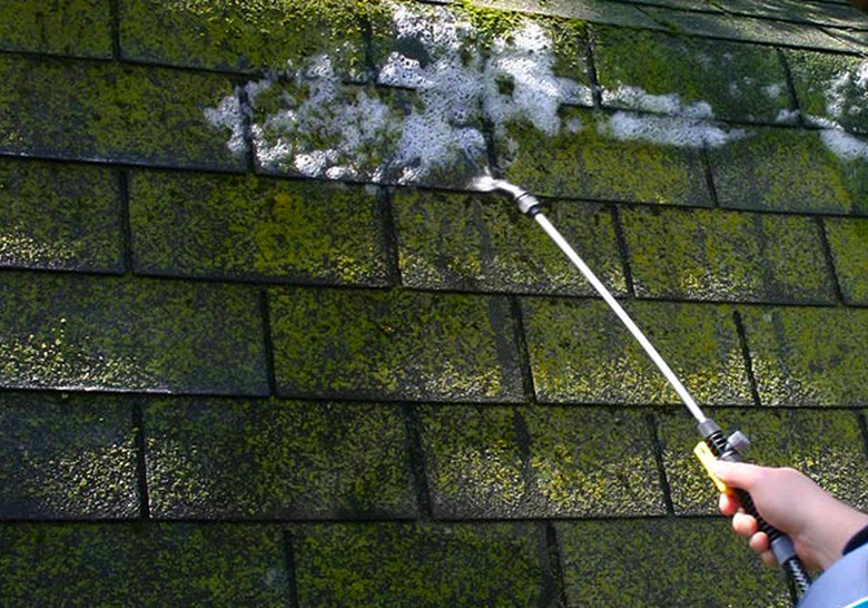 Spraying roof moss.