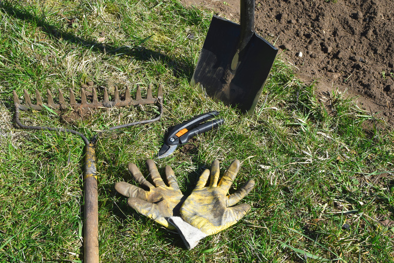 Gardening tools on green grass.