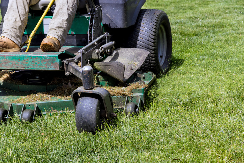 Man worker cutting grass with lawn mower