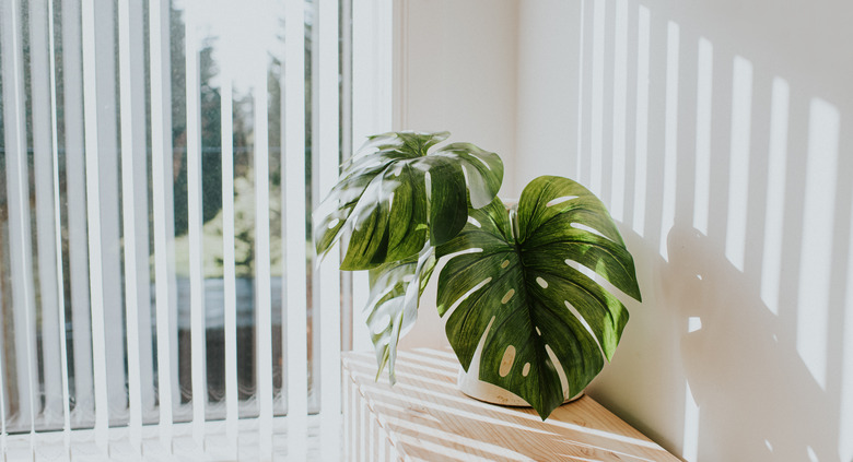 Vertical blinds opened to let sunlight in.