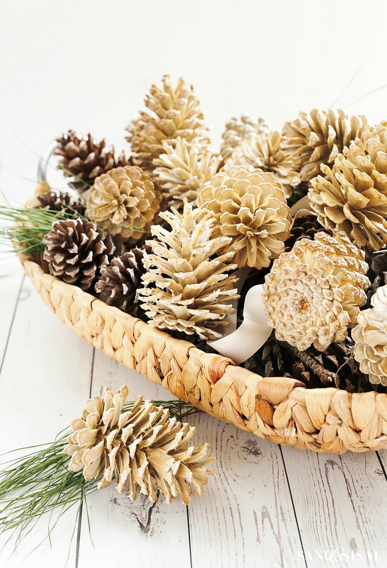 bleached pine cones in basket for decoration