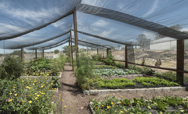 Net Shade greenhouse