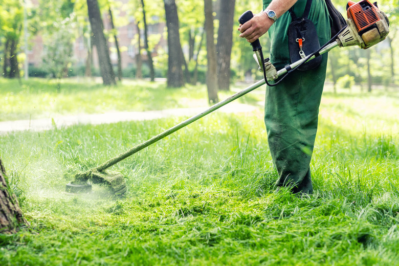 Worker mowing tall grass with electric or petrol lawn trimmer in city park or backyard. Gardening care tools and equipment. Process of lawn trimming with hand mower