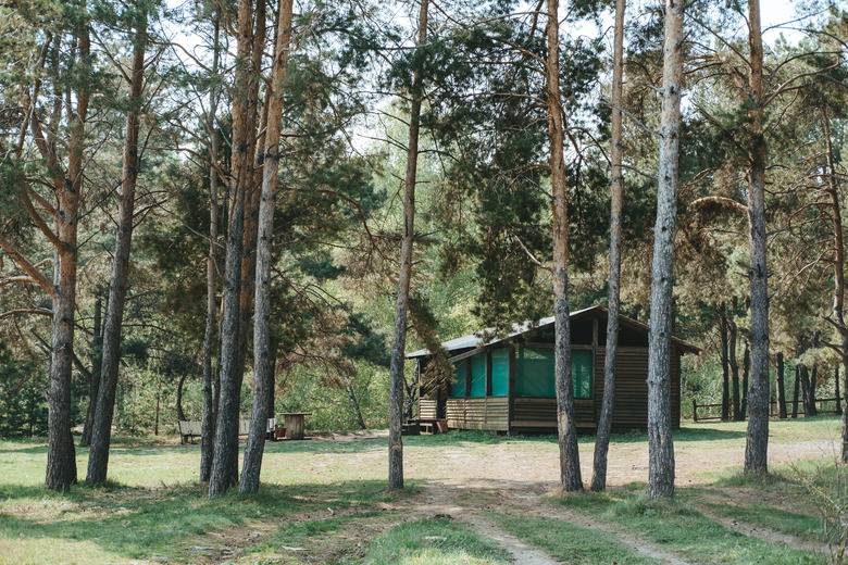 old wooden house in the forest, among tall pines and firs.