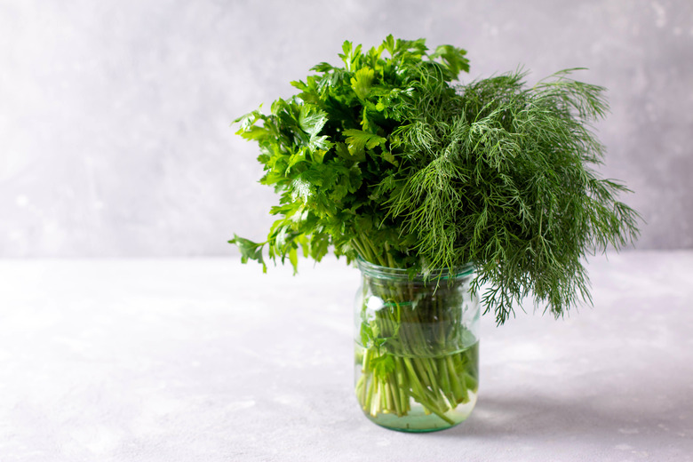 Fresh organic herbs (parsley and dill) in glass jar on the table, home gardening, close up