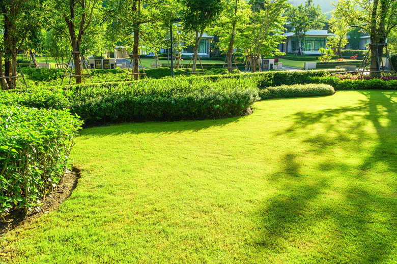 How to Troubleshoot and Repair Bare Spots in Your Lawn | Hunker