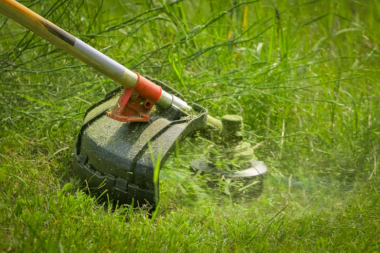 Physical worker mowing tall grass, weed with grass trimmer