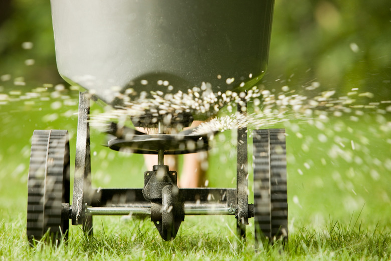 Fertilizer spraying from spreader.