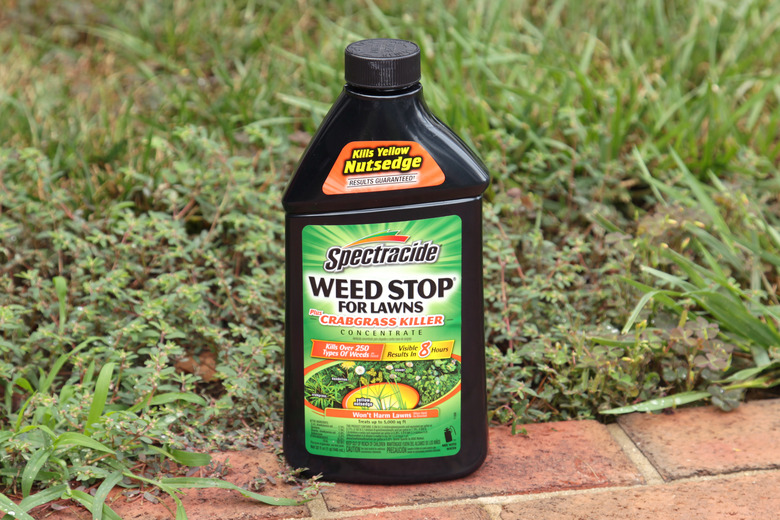 Spectracide Weed Stop for Lawns