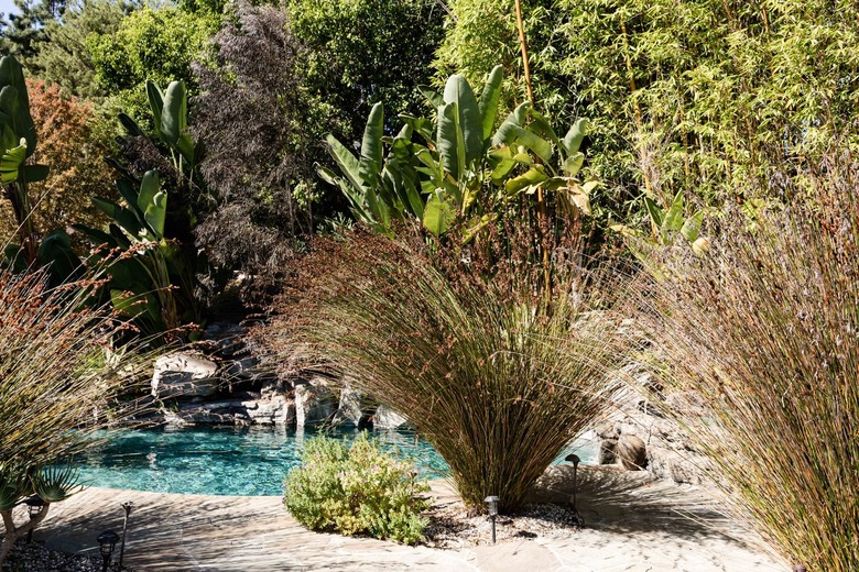 Patio with ornamental grass.