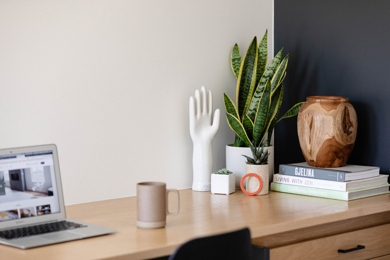 Home office desk with computer, snake plant, and desk accessories