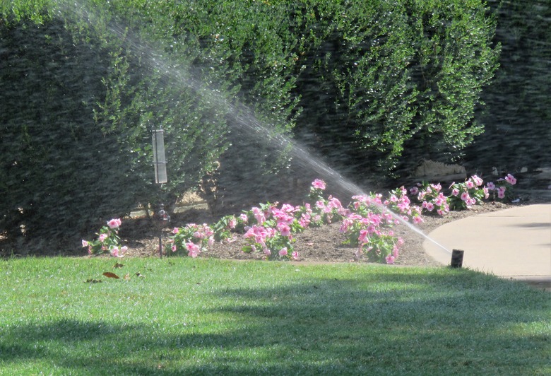 Water Sprinkler