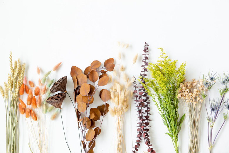 Dried flowers