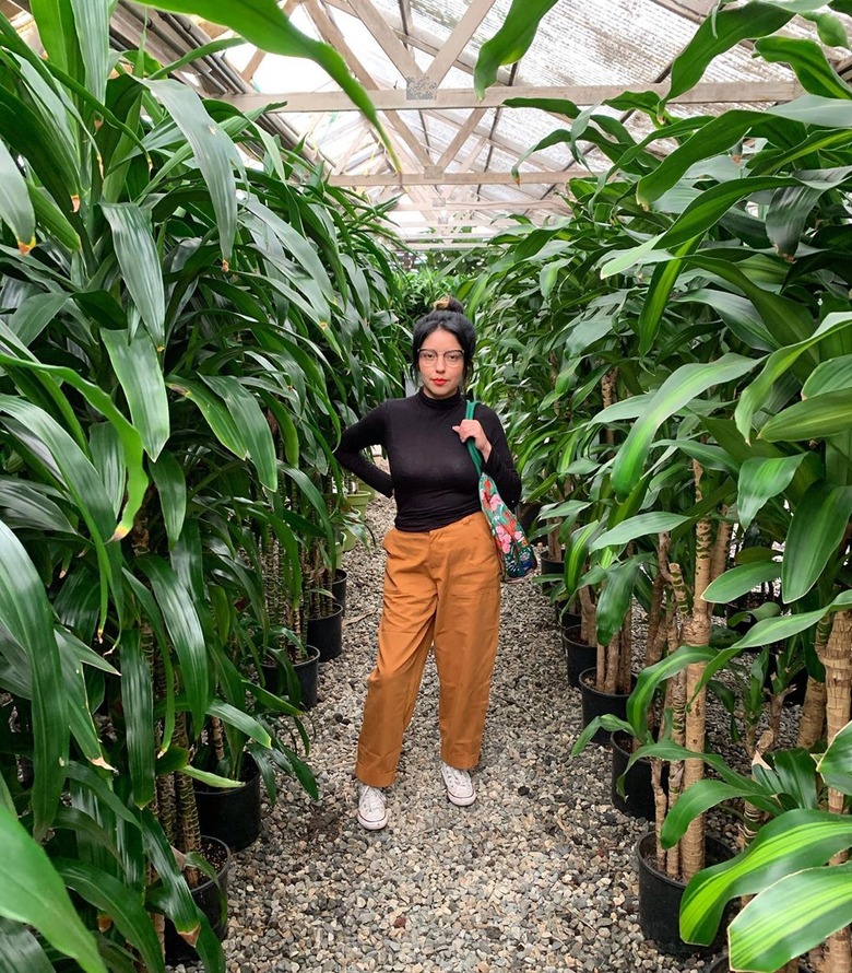 person standing amidst plants