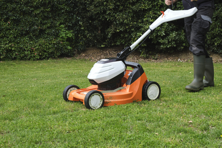 Gardener cutting grass with a lawn mower.