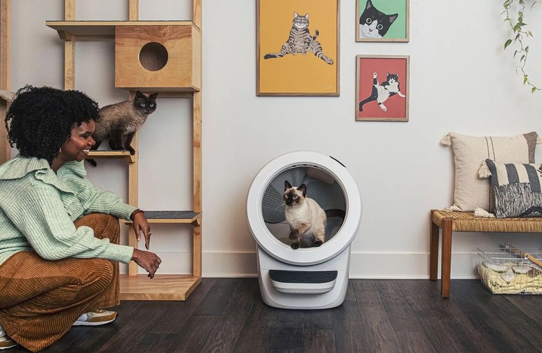 litter robot in home