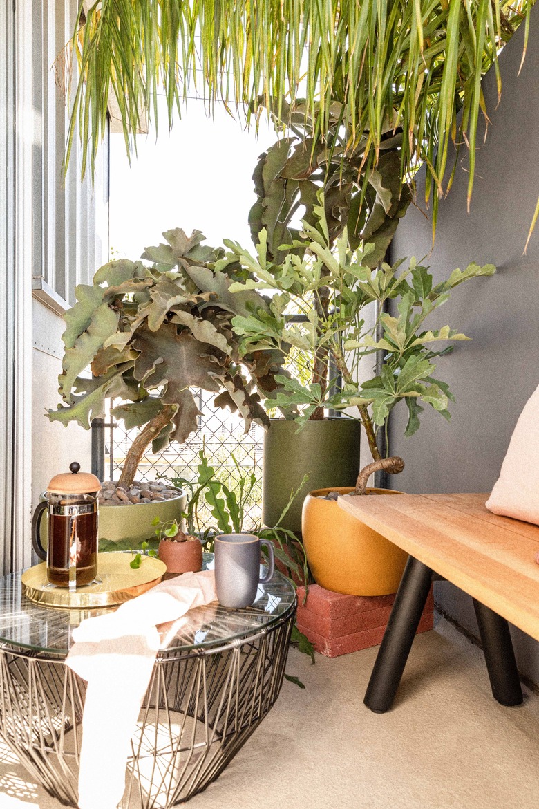 Balcony with plants and bench