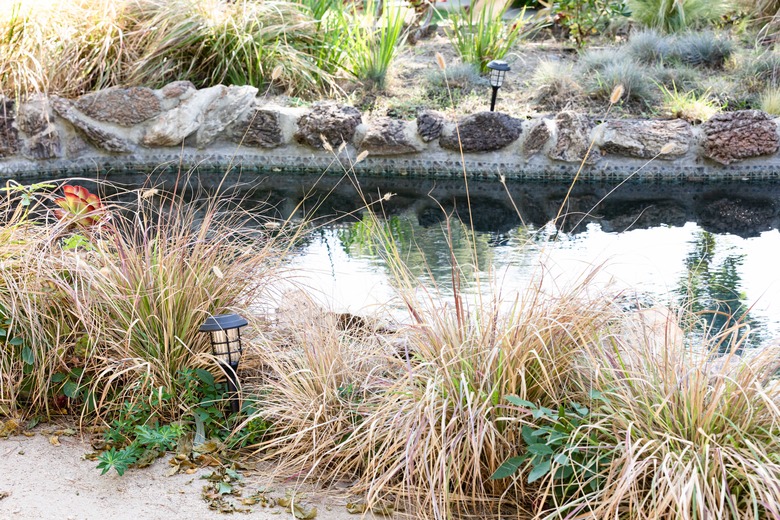 A swimming pool in a natural setting, surrounded by plants and rocks