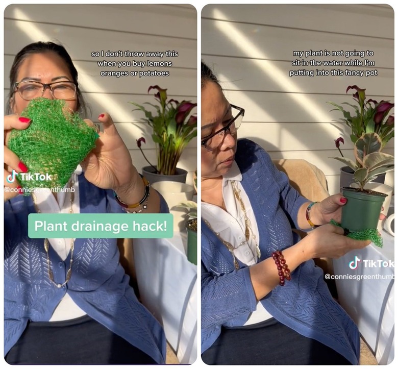 A woman holding up a folded green mesh produce bag next to a plant pot.