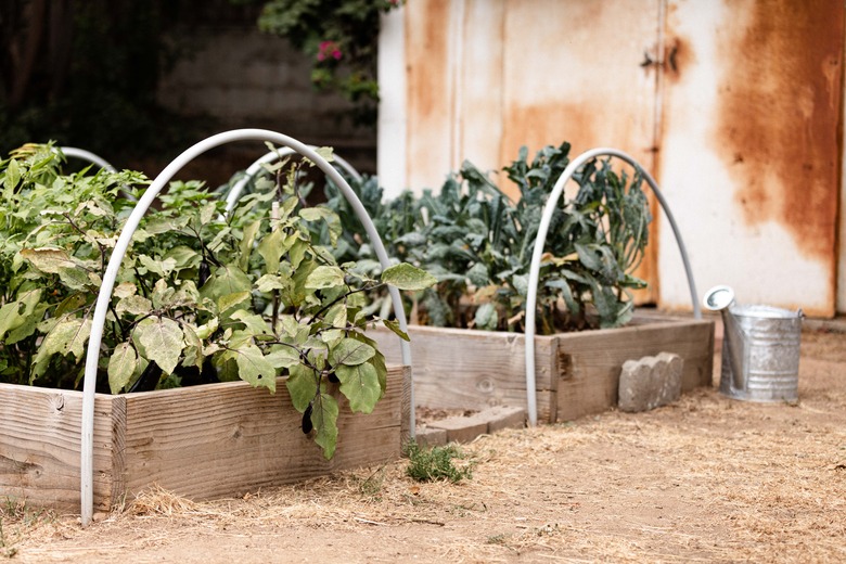 Vegetable garden beds