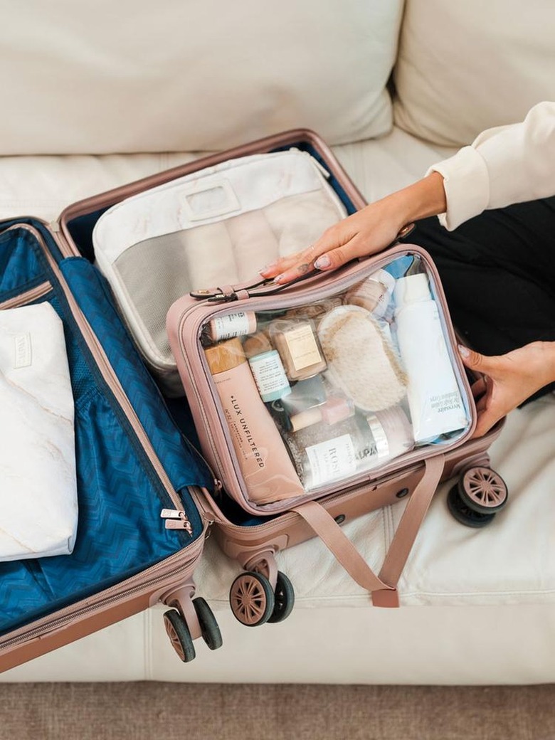 calpak clear travel case