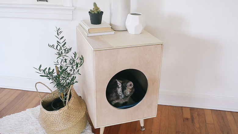 DIY Modern Plywood Kitty Litter Box Hunker