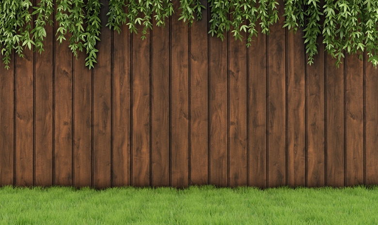 Garden with old wooden fence