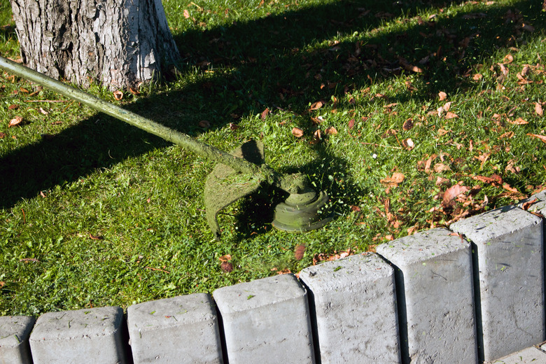 Autumn work in the park. The gardener cuts the grass before winter.